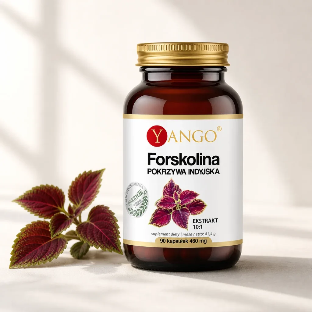 Forskolina - pokrzywa indyjska wspierająca kontrolę masy ciała | 90 kapsułek - Yango, zdjęcie 3