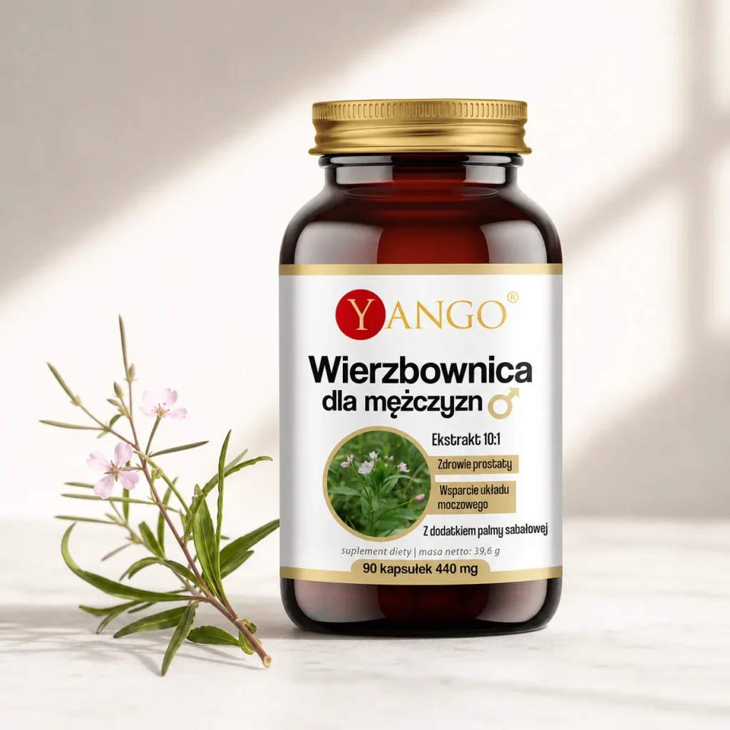 Wierzbownica dla mężczyzn - wsparcie prostaty | 90 kapsułek - Yango, zdjęcie 3